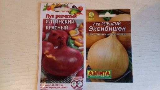 ��� ��������� ��� ��������: ������ � ����� ��� ������