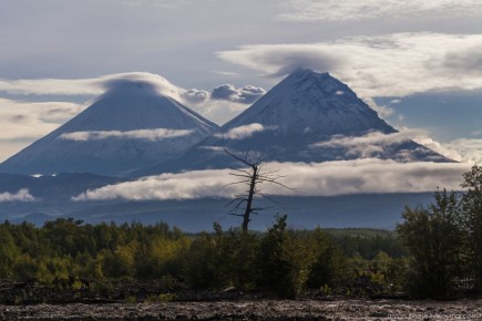 ���� �� �������� ����������� ������������ ����