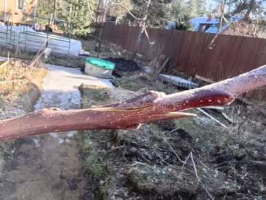 ������� ������� ������� ������: �� ������� ����� ���