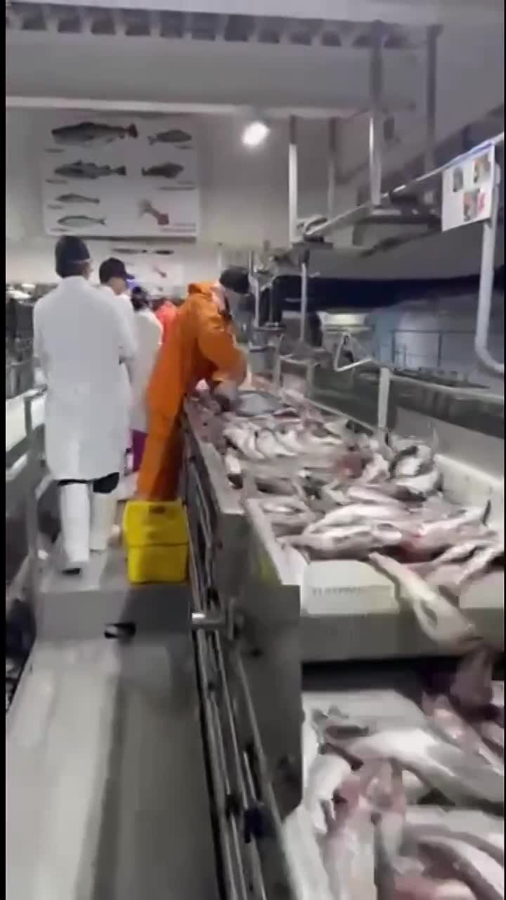 Дипломатия в действии: китайские партнеры оценили современное российское производство рыбной продукции