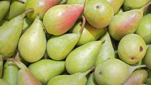 ����������� �����: ����� ��� � ���� �����������