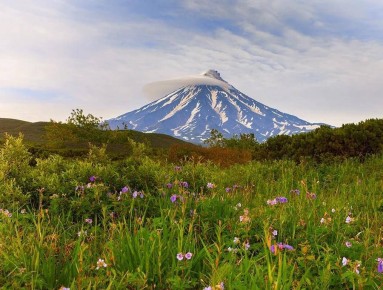 ������� �������� � ������ ������ ������������, ������� ��������� � ������������ ������� ������������ ������������� �������� �� ����������� ������������