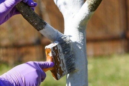 ��� ��������� ��������� ������� �������� �������� ������