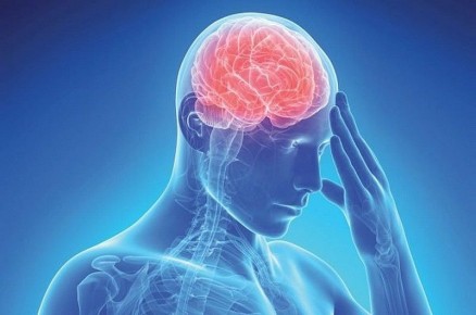 Как улучшить мозговое кровообращение: простые и эффективные методы