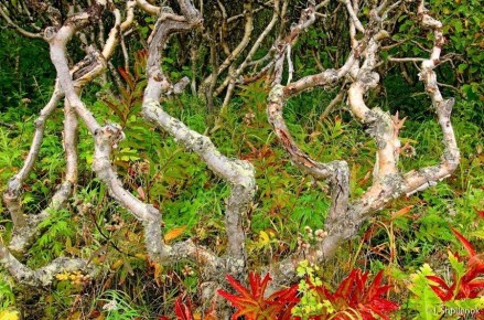 ������������ ���� ����� � ������ ���: � ���� ����� � ��������� ����������� ��������� ���������� ������ ������� �� ��������