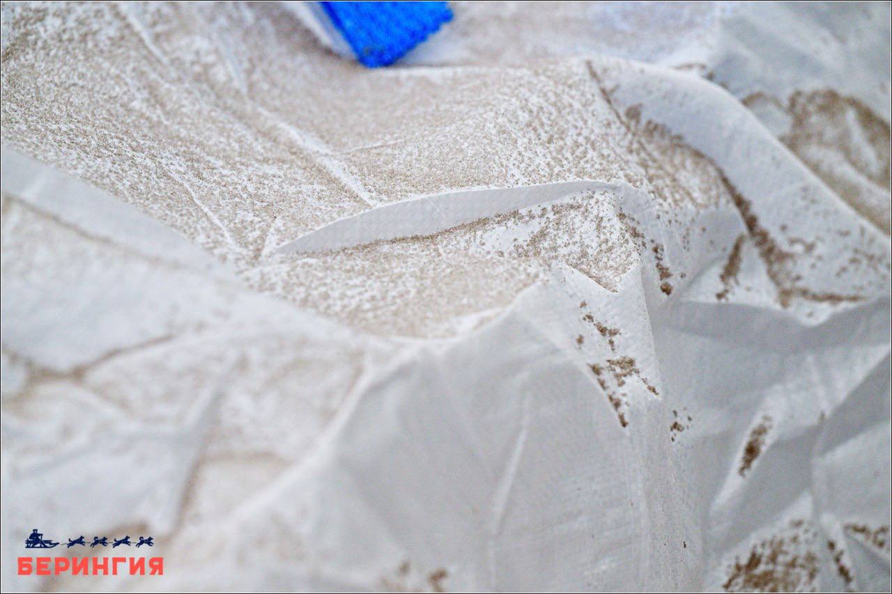 «Берингия» остановилась в Ивашке до 23 марта из-за пепла