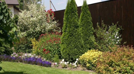 ���������� ������������, ������� �������� ��� ���