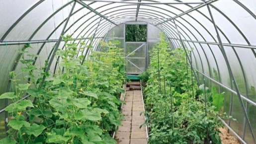 ��� ��������� ��������� ������� ������ � ������������ �������� ������