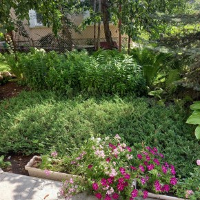 ������: �������� ������� ��� �� ������������� ��������