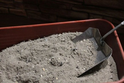 ��� ������������� ����� � ����������� �����: ��������� �����������