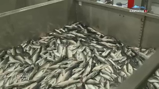 �������� ������. ������, �����, ������ � ����: �������� ���������� �������� ����� ������ �������