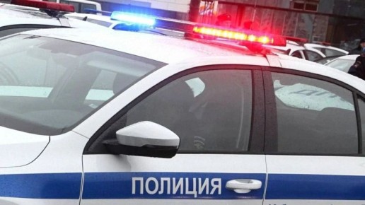 В Петропавловске-Камчатском полицией задержан подозреваемый в повреждении автомобиля
