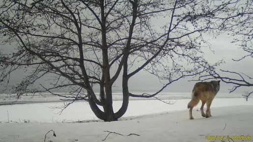 ��������� ����� ����: � ��������� ����������� �� �������� ����� ����� �� ����������