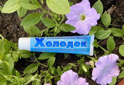 ������ ��� ������� �� ������������� ���� �������