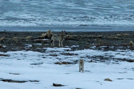 � ��������� ����������� ����� ����������� ��������� ����� �����