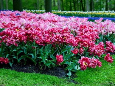 �������� ��� ������ �������� ����: ������ ����� �����