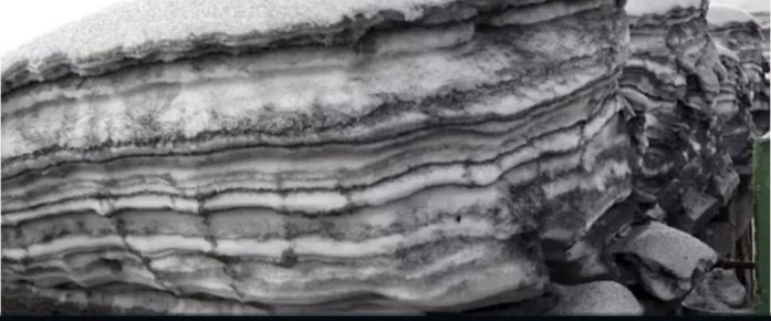 �� ����� ���������. ���������� � ���������� ���������