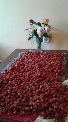 �������� ������ ������: ��� ������� ��������� ������� ���