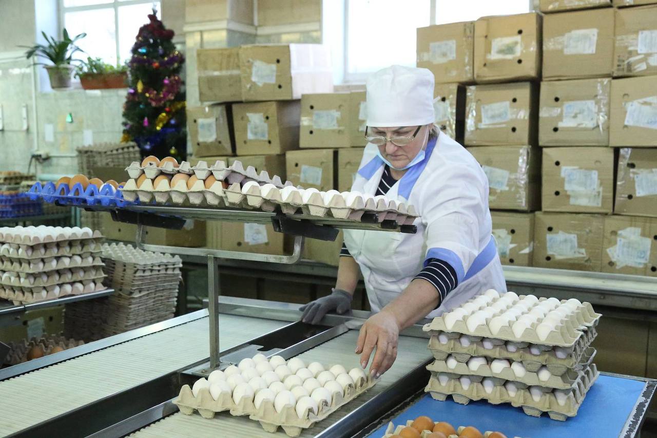 В апреле 2026 года в АО «Пионерское» планируется открыть птичник на 39 тысяч мест В апреле 2026 года в АО «Пионерское» планируется открыть птичник на 39 тысяч мест
