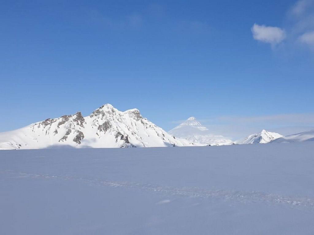 Краснокнижные олени на Камчатке могут задержаться в горах из-за глубокого снега Краснокнижные олени на Камчатке могут задержаться в горах из-за глубокого снега