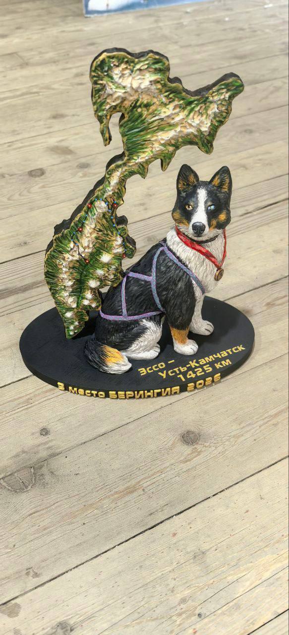 Победителей гонки «Берингия-2026» наградили на Камчатке Победителей гонки «Берингия-2026» наградили на Камчатке