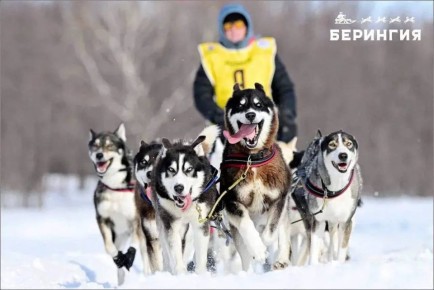 Владимир Солодов: На Камчатке успешно завершился берингийский сезон!