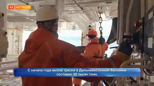 Вылов сельди на Дальнем Востоке выше уровня прошлого года почти на 7 процентов