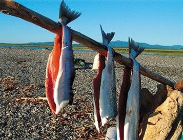 «Ловись, рыбка!»: коренным жителям Вилючинска наконец-то выделят участок для лова