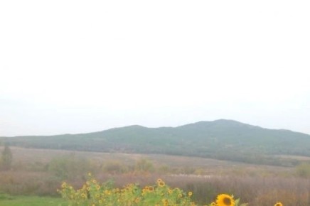 ����� �� �������� � ������� �������, � ������ � ���� � ���