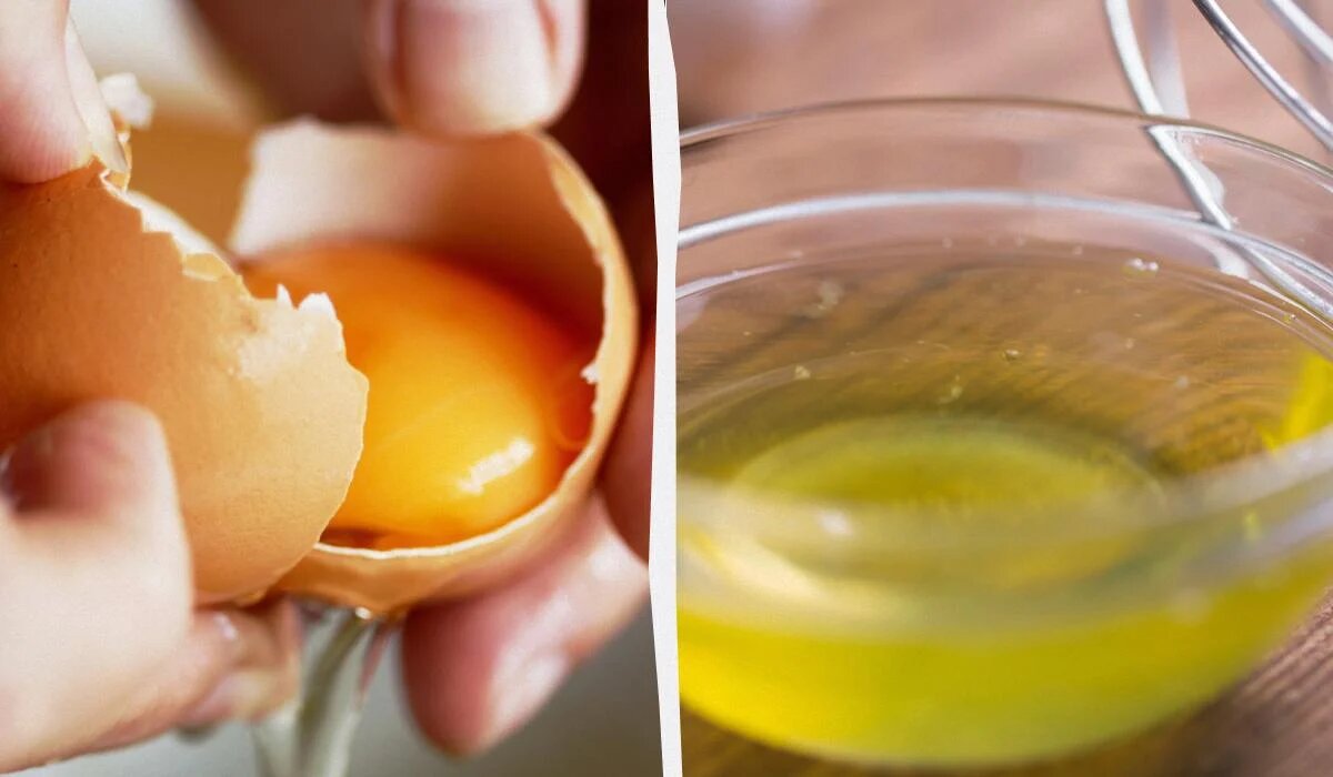 В чем секрет белка: желток или белок? Ученые раскрыли детали