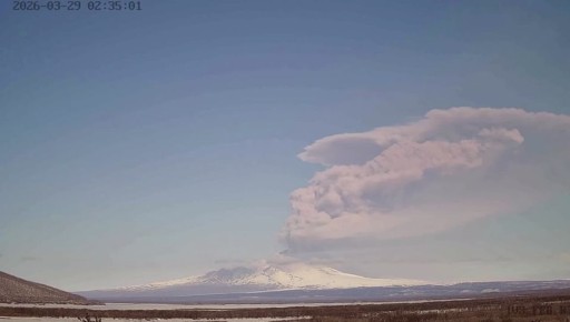 На Камчатке вулкан Шивелуч выбросил столб пепла на высоту до 11 км