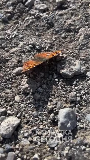 ����� ������� ���������� ���������� ������� ���������� �� ��������