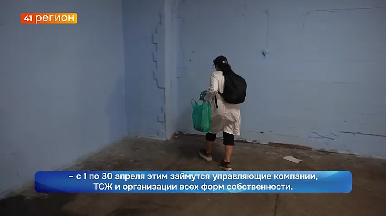 Сплошную дератизацию проведут в Петропавловске