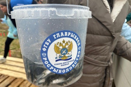 ������� ������ �� �������� ���������� ��������� � ������ ��� ������ ��������� � �������