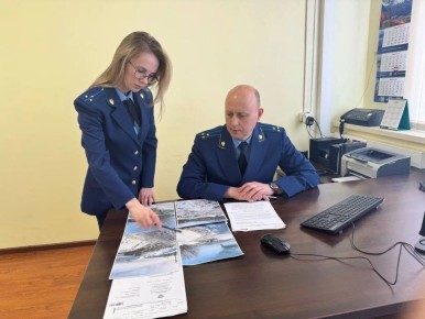 Вернули законному владельцу: прокуратура отсудила у жительницы Елизова два земельных участка