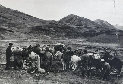 ����������� �����: ����� ���� �����