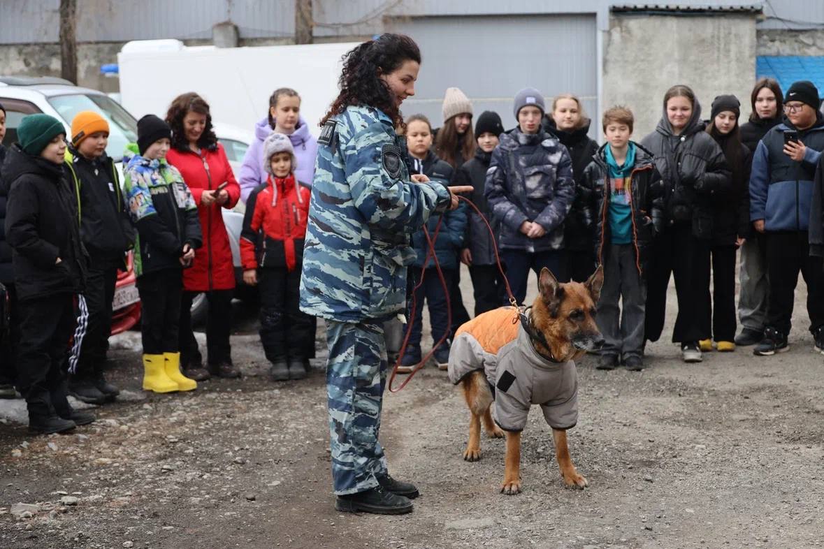 ПРОФЕССИЯ – ЗАЩИЩАТЬ. . Патриотическое мероприятие для школьников провели в Елизове полицейские и кинологи Сотрудники ОМВД России по Елизовскому району организовали познавательную экскурсию для учащихся Елизовской средней... ПРОФЕССИЯ – ЗАЩИЩАТЬ. . Патриотическое мероприятие для школьников провели в Елизове полицейские и кинологи Сотрудники ОМВД России по Елизовскому району организовали познавательную экскурсию для учащихся Елизовской средней...