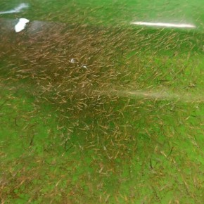 ���������� �������� ������ ������� �������� ������� ������� ������� �������