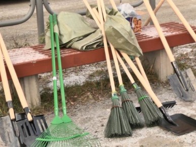 ������������� ���������� �������� �������� � ��������������