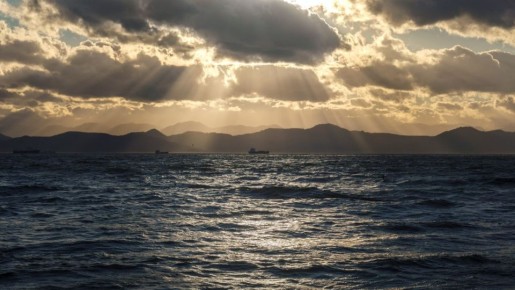 ������������� ����� ������ � �������������-���������� �� 40 ���� ������