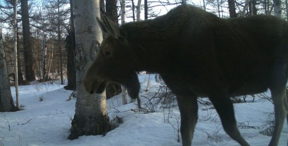 ����������� �� ����� � �����, � �������� ����!