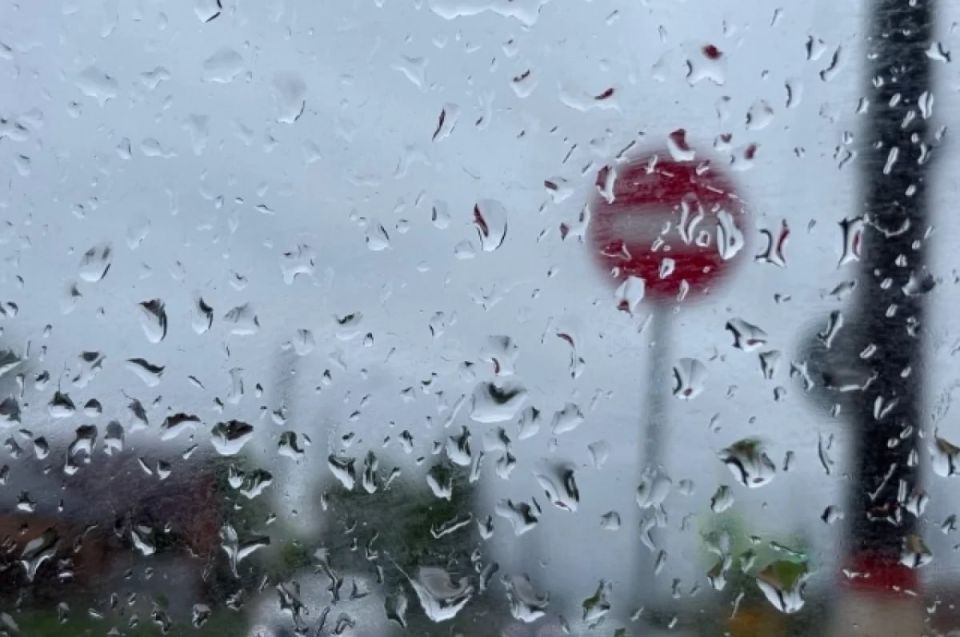 ��� ������� �� ������ � ������ ��������� �� �������� �� ��������