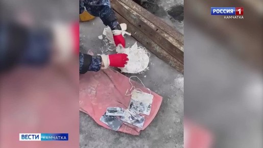 � ���������� �������������� ������� �5 ��������� ������� �������� ����������� ���������