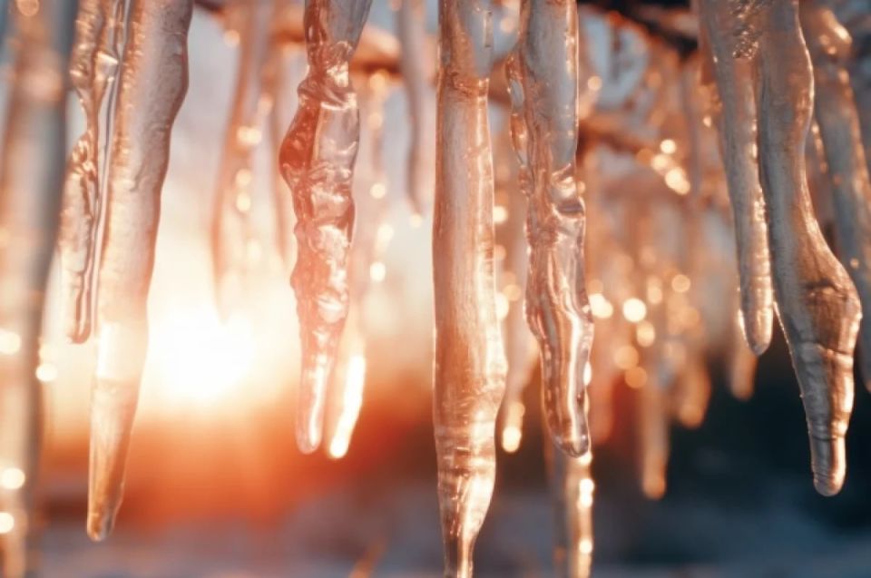 ���� ����� �������: ���� �� �������� ������� �� ������� ������ ������