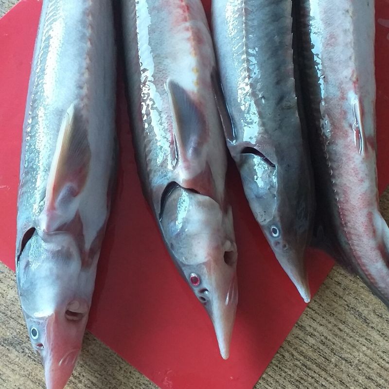 ��� ����� ������� ������ �� ��������� ����