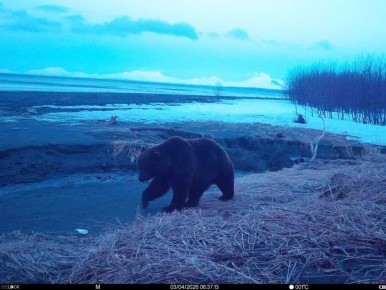 �������� �����������: �������, ��������, ��������