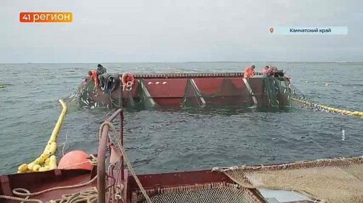 Заработки в рыбной отрасли в России за пять лет выросли почти в два раза