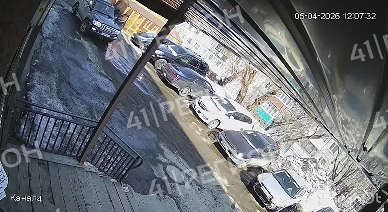 Привезла и выкинула собаку