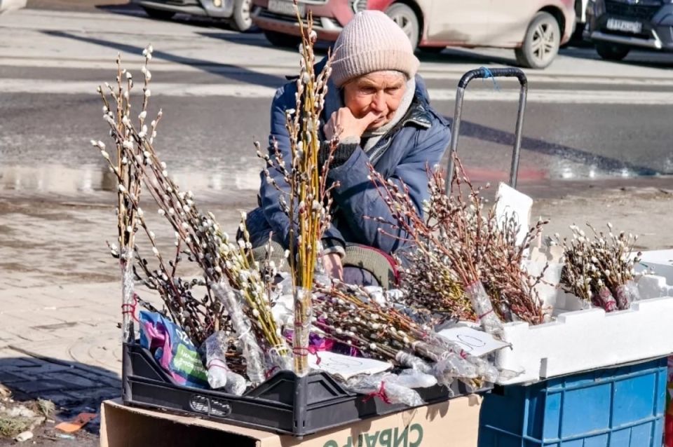 ������� ����������� 2026: ������ �����, ��� ����� � ��� ������ ������