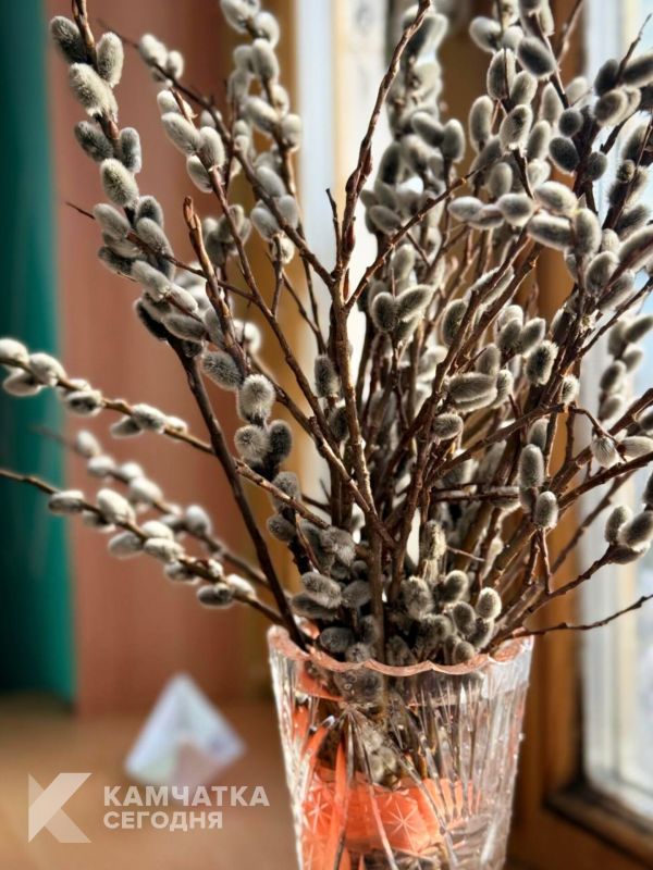 � ������� ������������!. �� �������� ��������, ����� ������ �� �������, ����� � ���� �����! � ���, ���������, ��� ������ ������������ ������ �������� �������� � ����� �� ���� ���